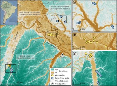 The Role of River Flooding as an Environmental Filter for Amazonian Butterfly Assemblages